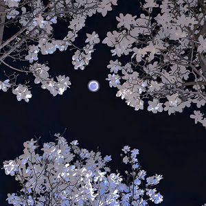 fc2成年手机免费共享视频
