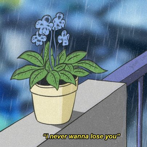 日本久久久久久久
