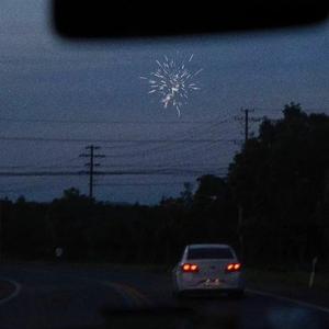 日本久久久久久久
