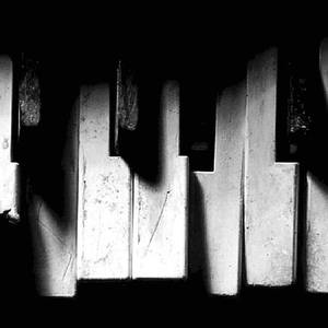 日本久久久久久久
